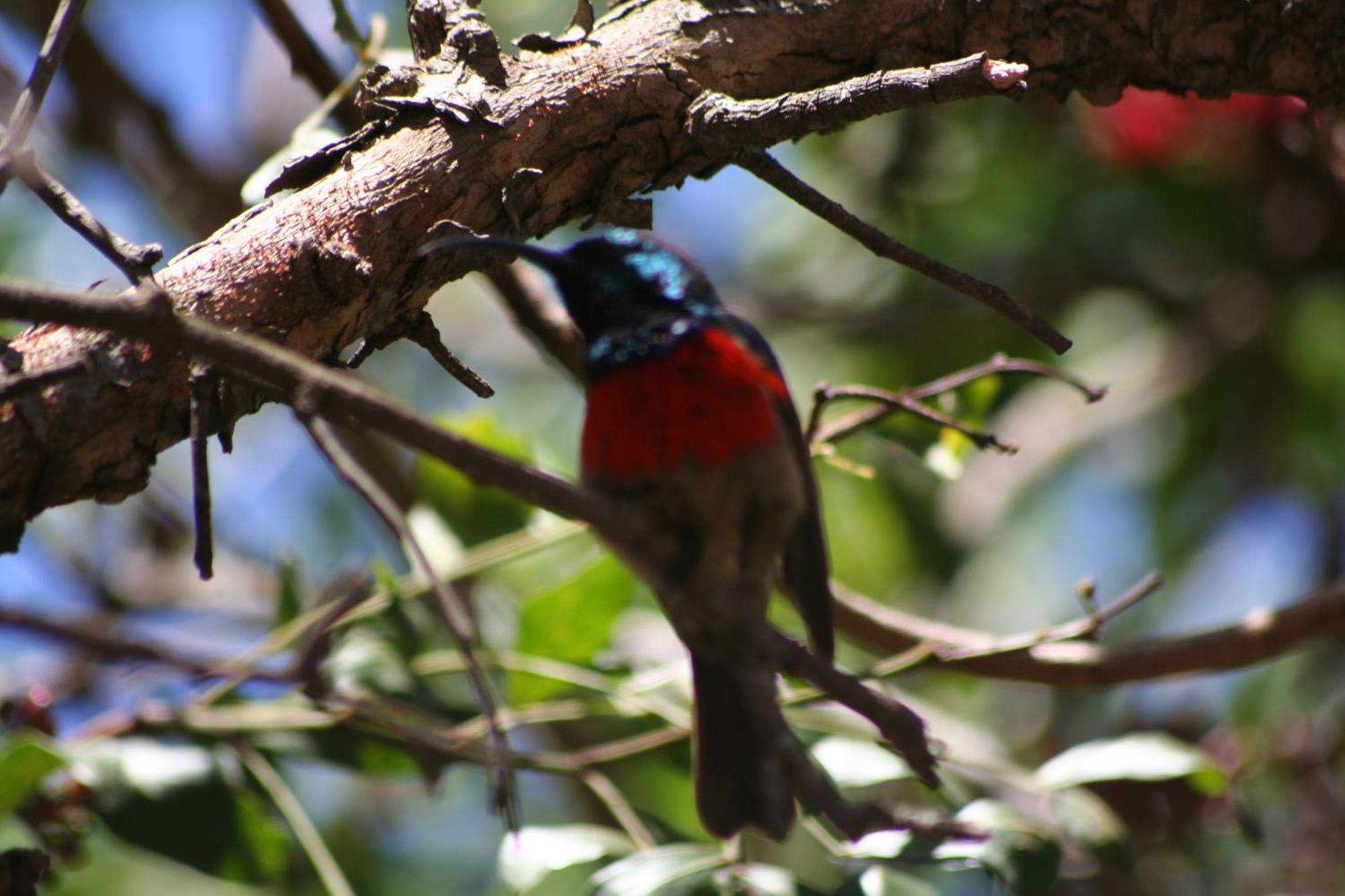 Dungbeetle River Lodge Colchester Εξωτερικό φωτογραφία